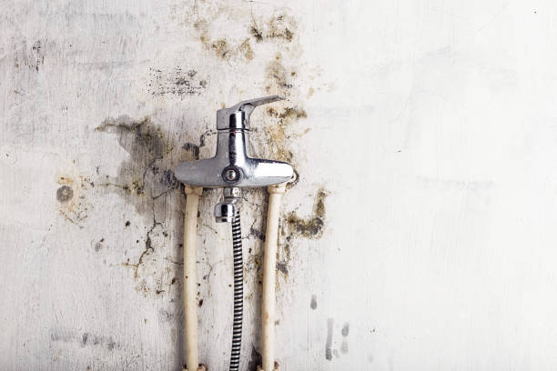 Water Damage Restoration in Groesbeck, OH