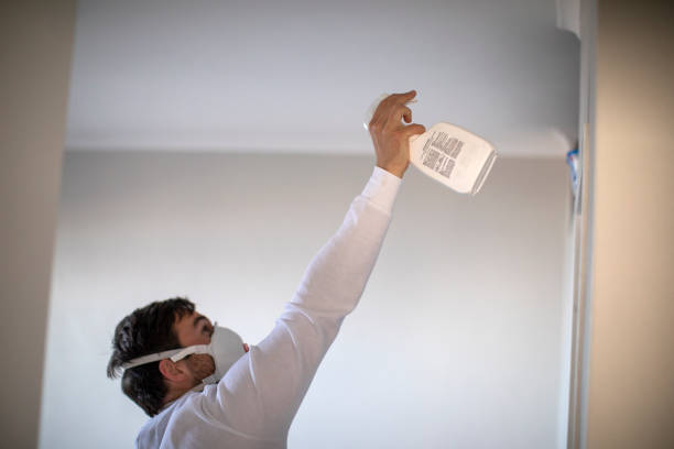 Certified Mold Removal in Groesbeck, OH