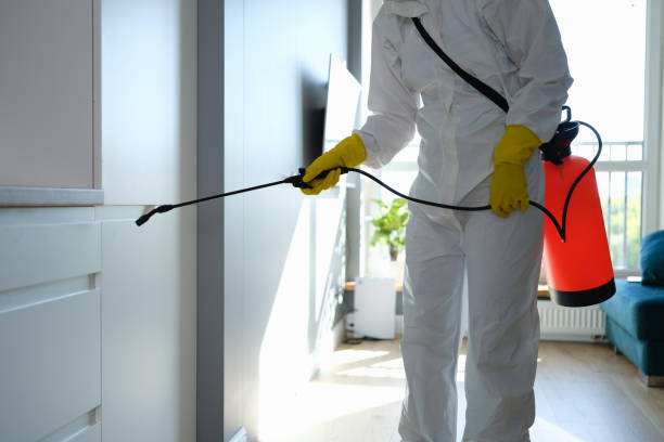 Mold Removal and Inspection in Groesbeck, OH
