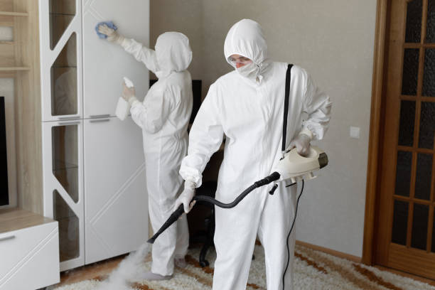 Best Mold Cleaning Services  in Groesbeck, OH