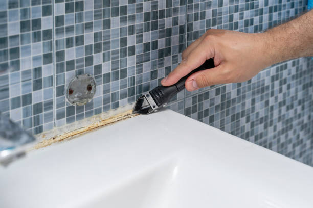Groesbeck, OH Mold Removal Company