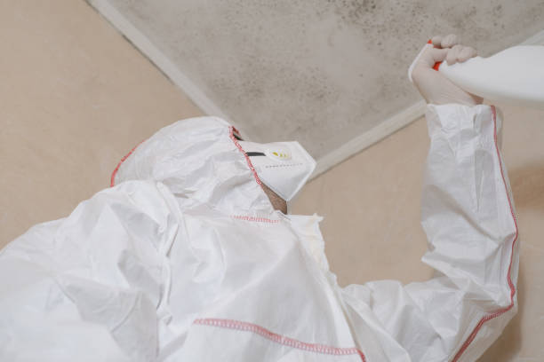 Office Mold Removal Services in Groesbeck, OH