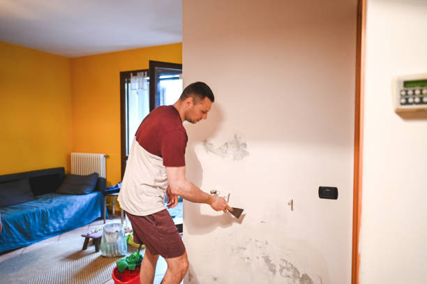 Best Office Mold Removal Services  in Groesbeck, OH